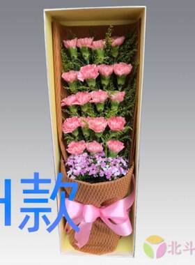 生日祝寿康乃馨山西忻州花店送花宁武县静乐县神池县同城鲜花速递