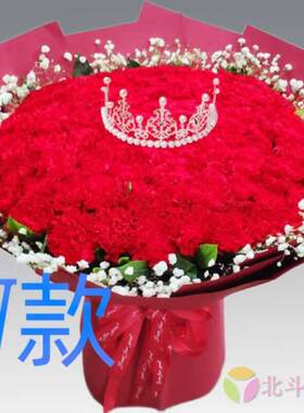 生日慰问康乃馨广东韶关花店送花乳源县新丰县乐昌市同城鲜花快递