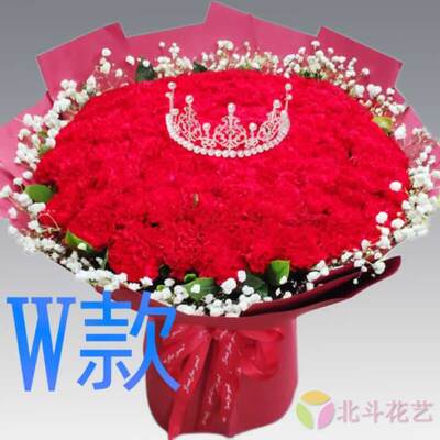 生日康乃馨河南三门峡订花店送花卢氏县义马市灵宝市同城鲜花速递