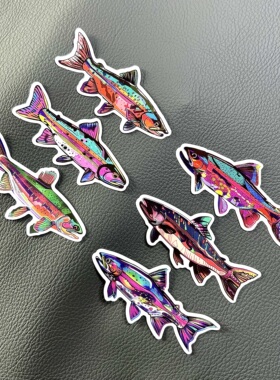 鱼竿贴纸 汽车贴纸 路亚竿渔轮防水贴纸 鳟鱼贴纸 马口虹鳟贴纸