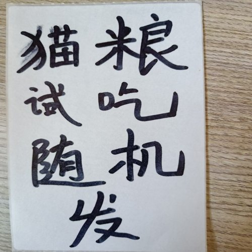 流浪猫鱼肉牛肉味全阶段猫粮试吃