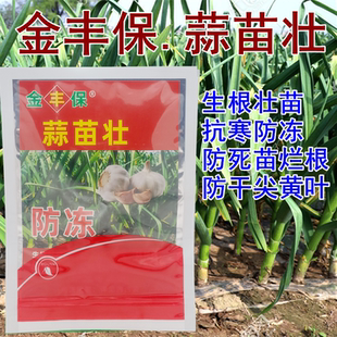 金丰保牌蒜苗壮大蒜生根壮苗剂抗寒防冻防干尖黄叶专用药正品