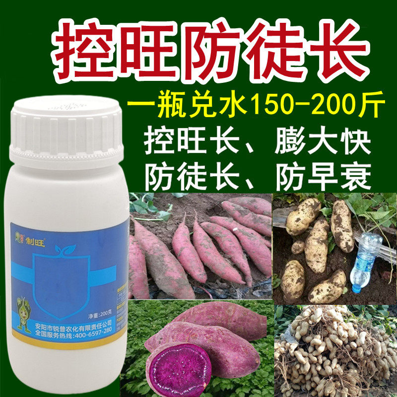 花生红薯地瓜红芋紫薯土豆马铃薯洋芋专用控旺膨大素控旺长药剂