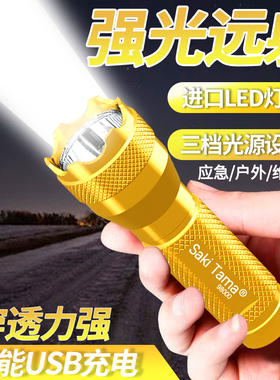 LED强光小手电筒超亮远射可充电迷你便携学生户外家用照明耐用灯