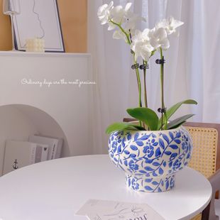 青花瓷纹蝴蝶兰陶瓷花盆中国风室内复古装饰瓷器绿植花卉通用盆