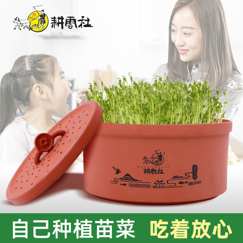 Geng Yun Cinnabar Seedlings household Bean machine Bean sprouts Bean sprouts Artifact Soilless cultivation Vegetables peanutin the Kitchen Appliances , Other kitchen appliances , Bean machine  category - from Buy2taobao.com to provide professional Taobao agent buy service