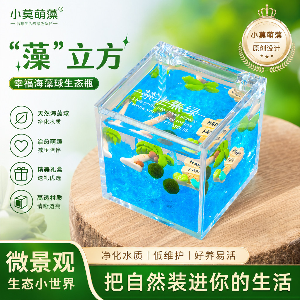 小莫萌藻海藻球治愈系生态瓶