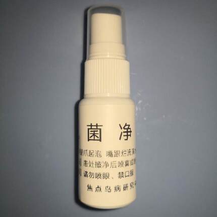 鸟爪子烂起水泡翅膀翅尖烂流黄鸟儿身感染烂腿脚裂烂起红线水肿