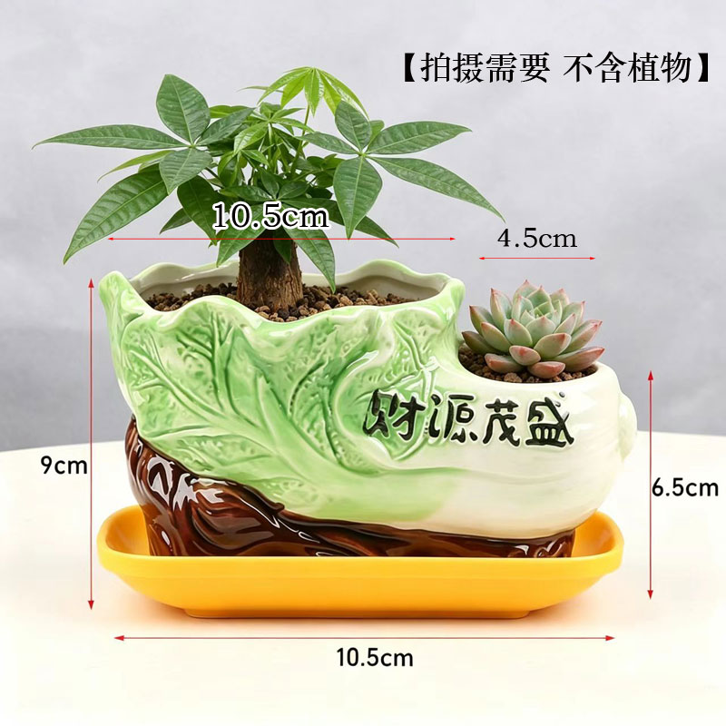多肉花盆陶瓷圆形简约创意个性透气室内家用小绿植盆栽摆件带托盘