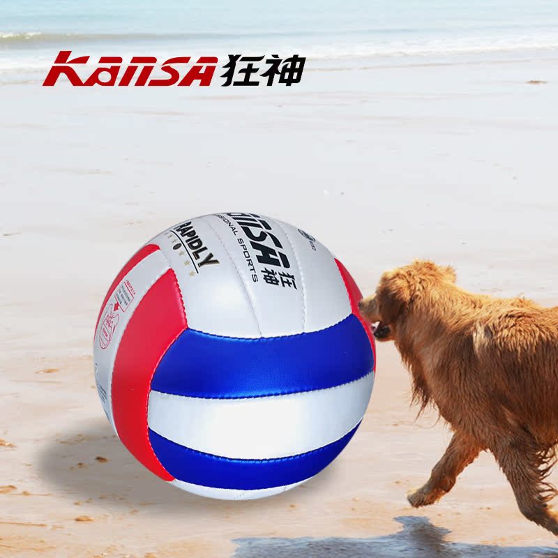 Ballon de volley-ball - Ref 2016709 Image 1