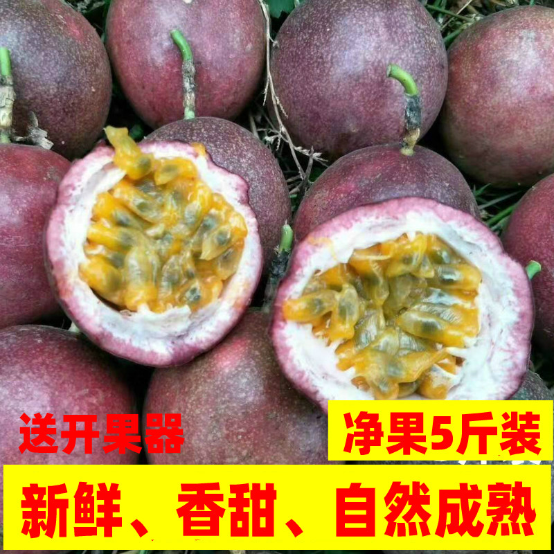 新鲜现摘现发精选红果百香果