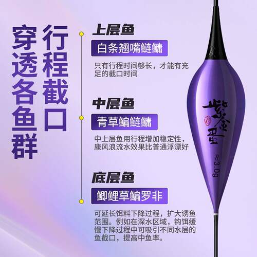 高灵敏电子夜钓漂鲢鳙浮漂高灵敏