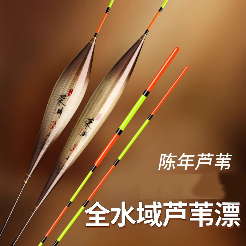 黄金眼鲫鱼漂抗走水芦苇大物浮漂
