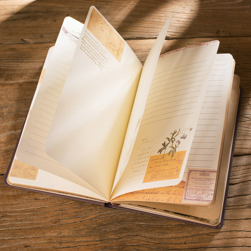 a5复古风格彩页日记本牛皮纸插画