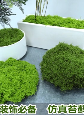 仿真苔藓草皮假青苔微景观假山石头摆件草坪园艺盆景铺面绿化造景
