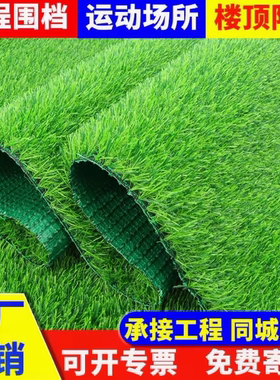 仿真草坪地毯人造绿色阳台装饰铺垫人工户外幼儿园塑料假草皮地垫