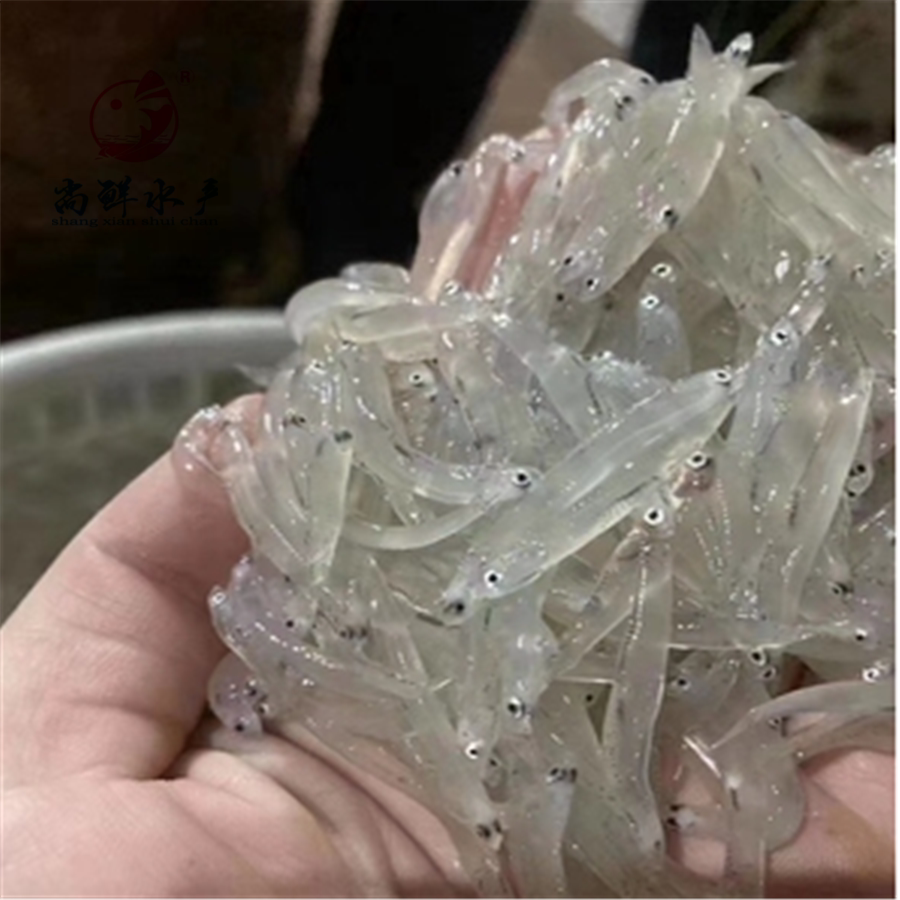 「尚鲜」福建东山岛活冻 新鲜海银鱼 丁香鱼 4*250克/件 全国包邮