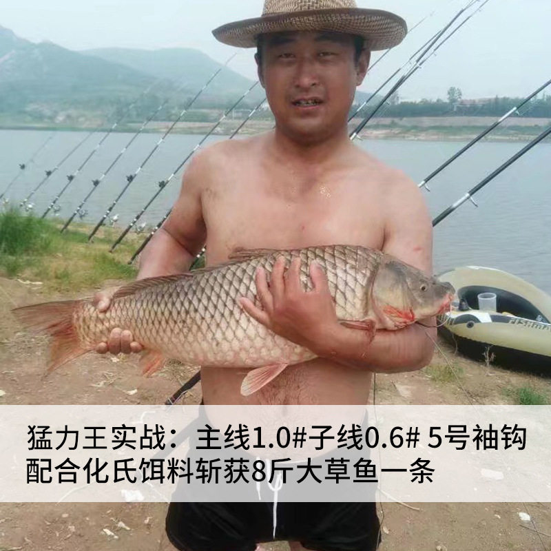 德国进口不打卷超强拉力台钓钓鱼鱼线主线正品子线超柔软尼龙线