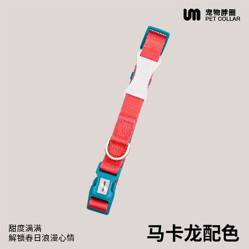 UNMIXED邋遢熊撞色系列马卡龙色宠物胸背牵引项圈外出遛狗牵引狗