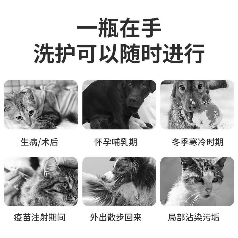 厂家直销卡露诗宠物免洗泡泡慕斯猫咪狗狗抑菌驱螨免水洗用品