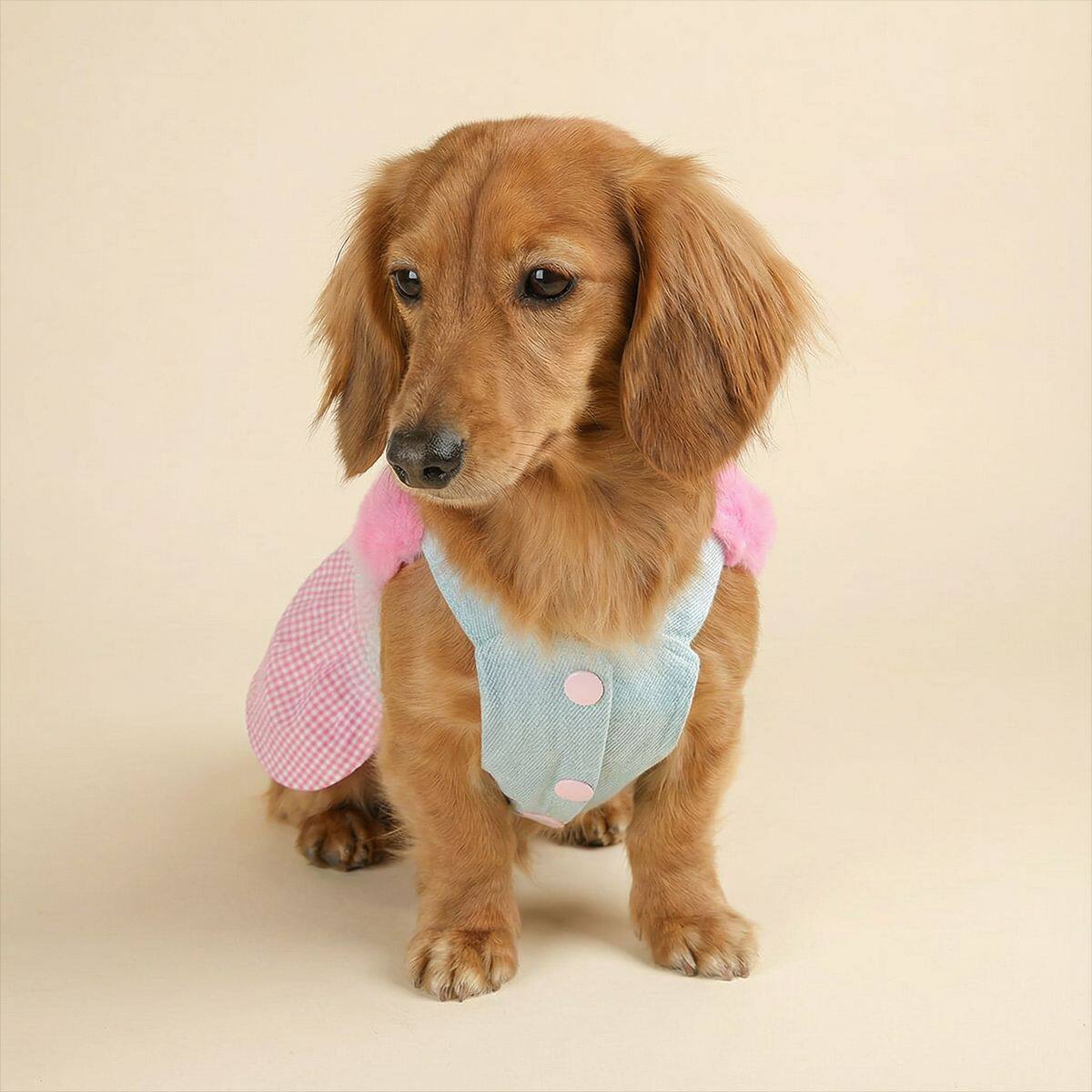 现货宠物服装宠物小狗狗猫咪衣服可爱小型犬可爱花花草莓牛仔裙
