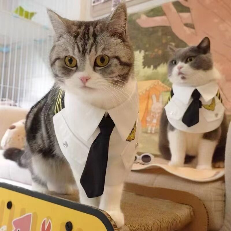 宠物狗狗猫咪帅气机长制服围脖空军飞机衣宠物搞笑衣服装泰迪比熊