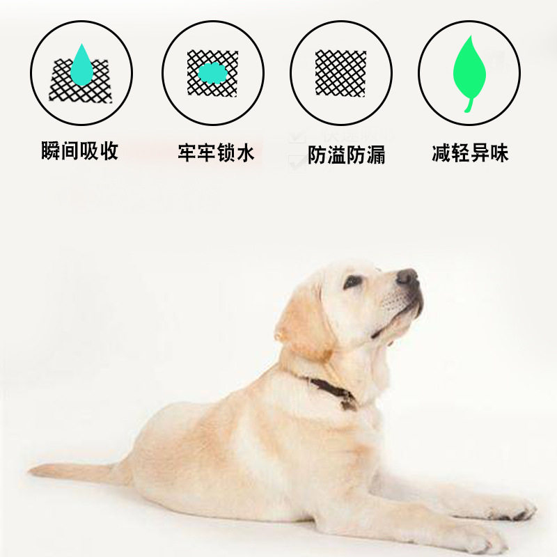 宠物用品狗狗尿片加厚除臭吸水泰迪尿垫尿布尿不湿100片50片20片