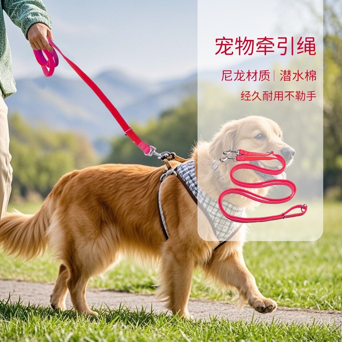 跨境新款牵引绳 2米3米加长狗绳遛狗 泰迪金毛宠物大中小型犬狗链