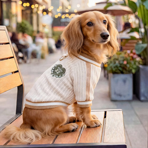 PETCIRCLE宠物服装狗狗猫咪衣服春夏新款巴迪运动衫泰迪比熊雪纳