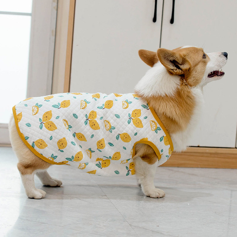 卡通狗狗服装清新柠檬背心秋冬季保暖狗狗衣服可定 做现货批发