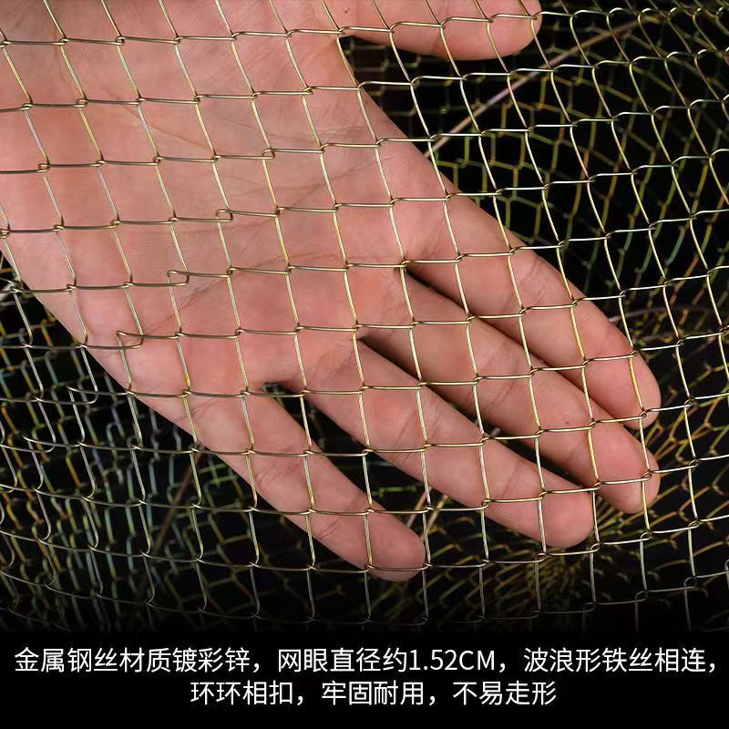 铁鱼护 批发折叠铁渔娄 镀锌鱼护 铁丝鱼护