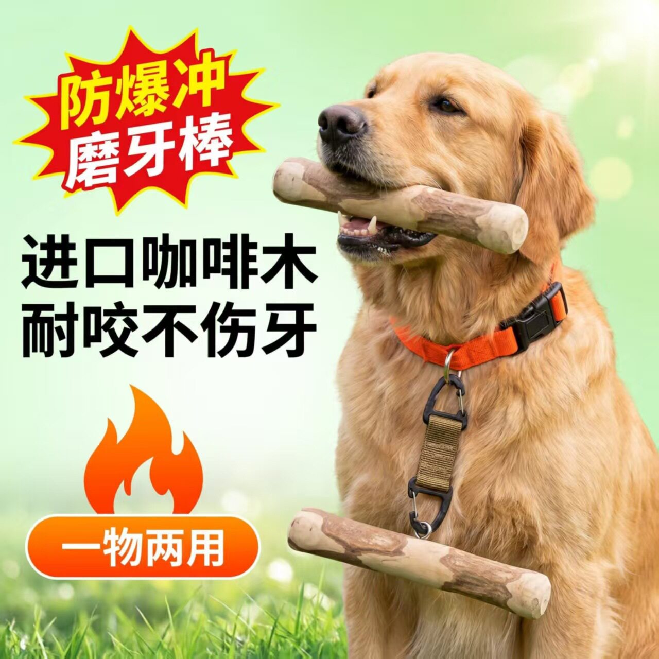 狗狗防咬牵引绳进口天然咖啡木可磨牙遛狗用品可食用咖啡木磨牙