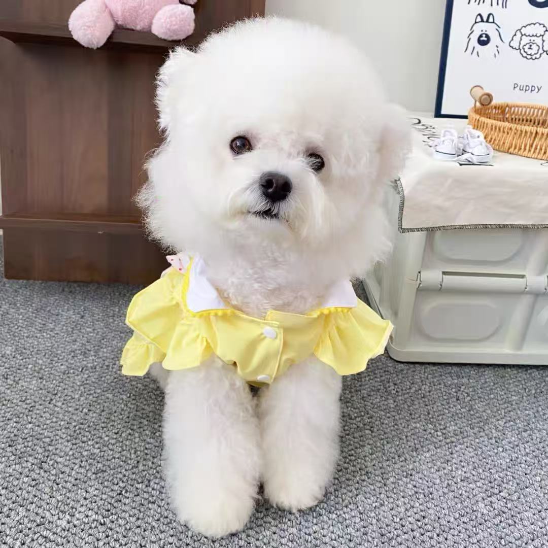 小狗衣服春夏装小型犬薄款猫咪牵引洛丽塔宠物红点小黄熊