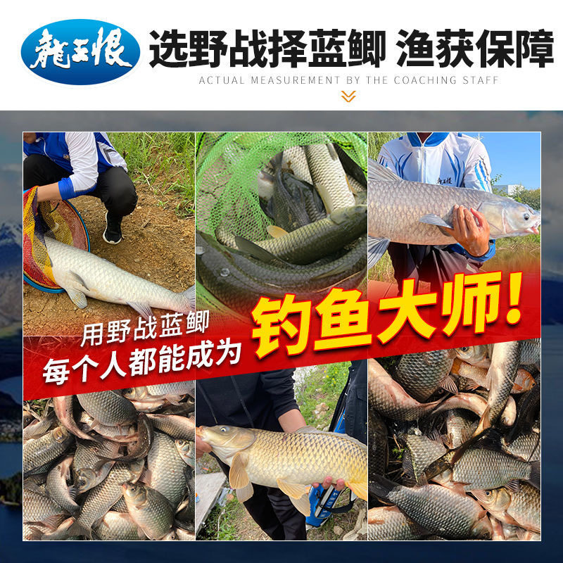 龙恨野战蓝鲫升级版钓鱼饵料大蓝鲫秋冬野钓鲫鱼鲤鱼香腥味鱼饵