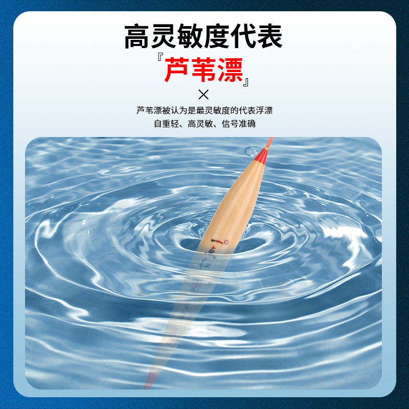 大头芦苇漂鱼漂醒目加粗浮漂鲢鳙大头漂近视超粗尾高灵敏鲫鱼浮标