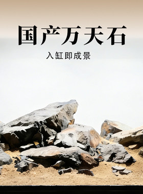 原生天然国产万天石装饰乌龟水族造景一整套溪流青龙三湖草缸石头