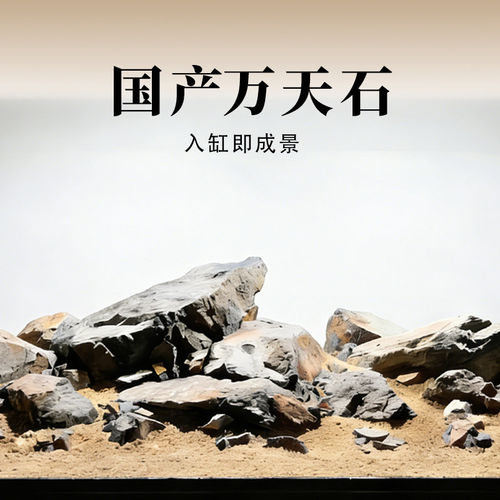 原生天然国产万天石装饰乌龟水族造景一整套溪流青龙三湖草缸石头