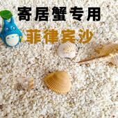 寄居蟹珊瑚沙滩热带鱼小沙天然海底世界酸洗草缸假山文玩石贝壳沙