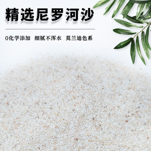 尼罗河沙化妆沙草缸南美缸鼠鱼底砂鱼缸造景底砂河沙黄色细沙水草