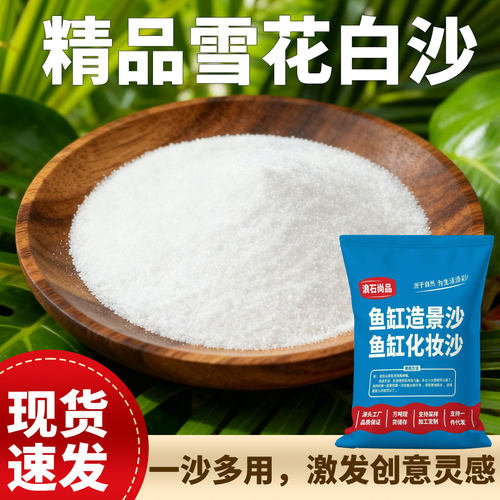 石英砂细沙白色砂子酒店垃圾桶烟灰缸灭烟天然颗粒造景家庭园艺