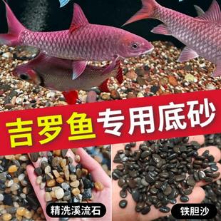 吉罗鱼专用铁胆沙溪流石鱼缸造景沙天然黑工砂乌龟缸水族装饰鳌虾