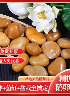 黄色红色白色黑色鹅卵石综合鱼缸乌龟铺面造景装饰水族箱水草沙