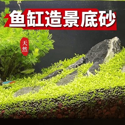 精洗精筛鱼缸造景底砂青龙石溪流石火山石水草泥净水水草天然铺底
