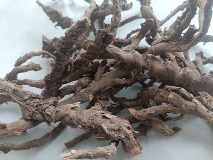 中药材石菖蒲根无硫熏农家自采晒干新鲜石菖蒲可做种苗盆栽