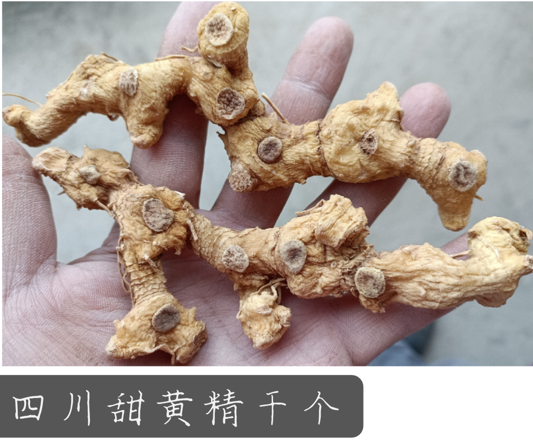 四川特产新鲜黄精干黄精片干黄精个煲汤泡酒泡茶九蒸九晒