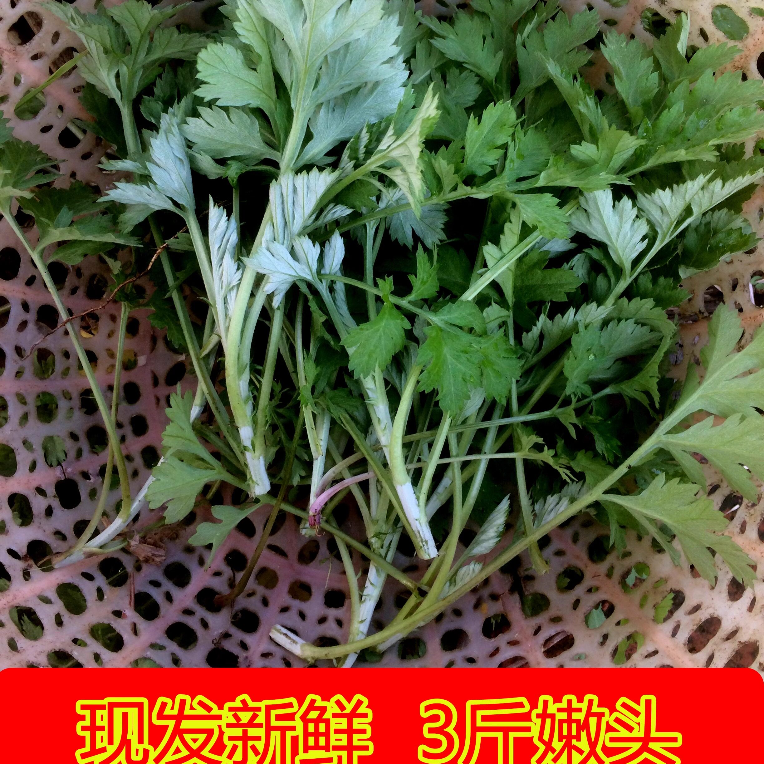 艾草新鲜糍粑生艾野生艾叶青团蔬菜清明草艾果艾篙粑现摘田艾食用