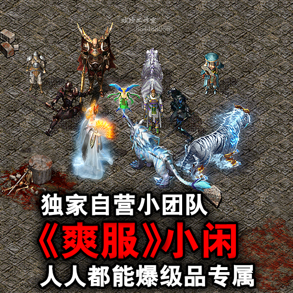 爽服小闲传奇单机版级品专属好玩