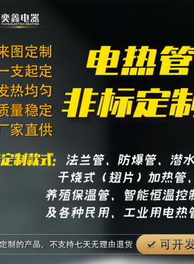 非标定制潜水式加热管控温