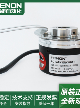 ITD 21 A 4 Y73 1024 4096 R T NI K2SK1R S12 S 12 IP6503 03