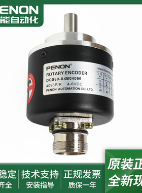 DGS60-A1R02500-A4A(B)00500-A4B01000-A4B04096-AZA0-S01